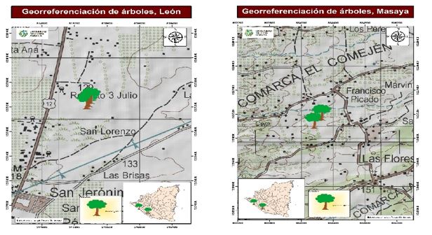 Ubicación geográfica de los sitios
de muestreo de madera, departamentos de León y Masaya